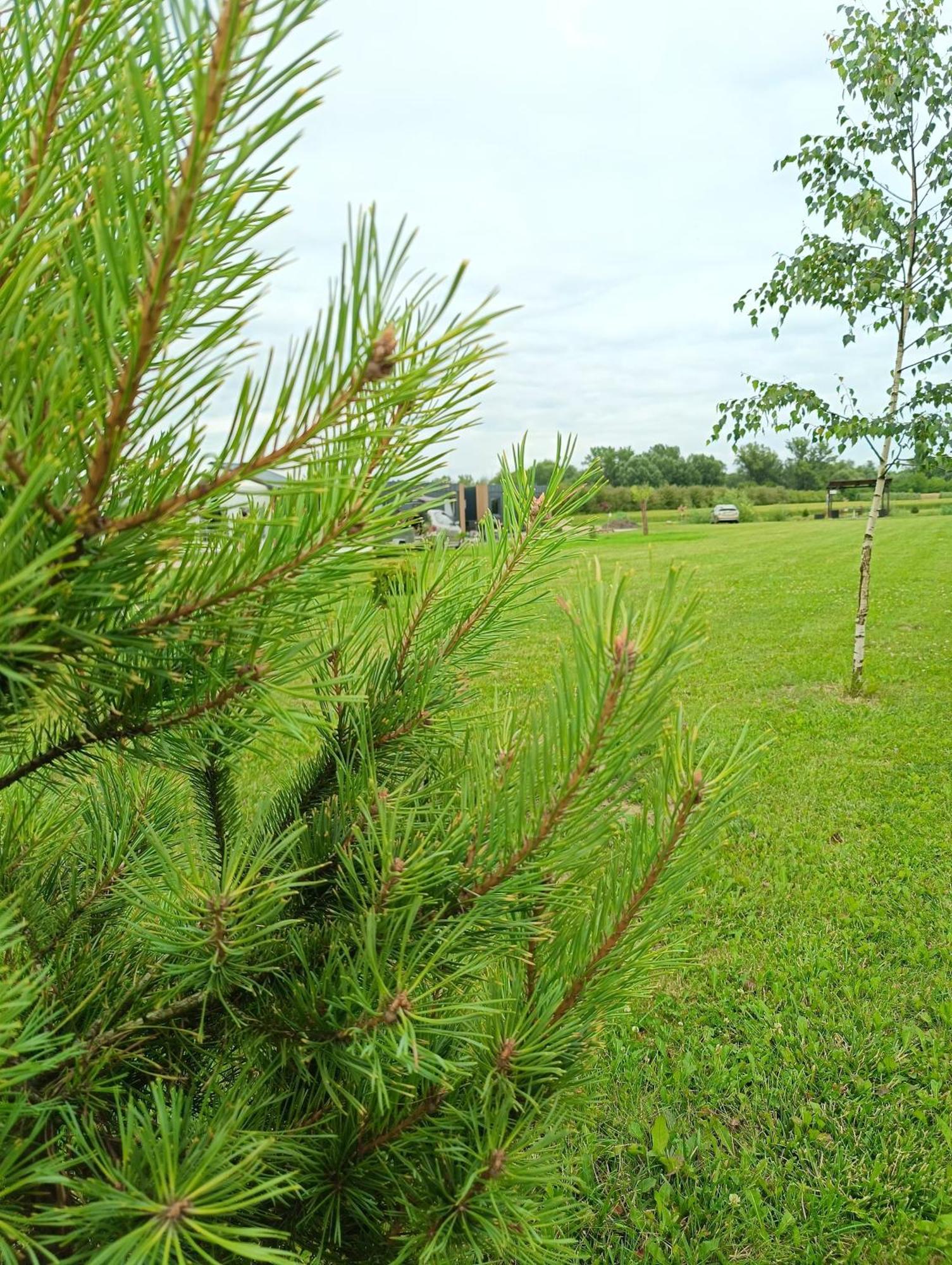 Ostoja Czersk Gora Kalwaria Zamek Krolowej Bony Domki Caloroczne Exterior photo